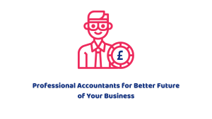 Professional Accountants for Better Future of Your Business