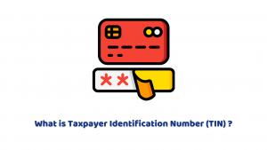 What is Taxpayer Identification Number (TIN) ?
