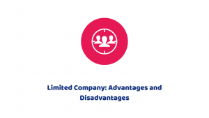 Limited Company: Advantages and Disadvantages