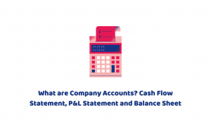 What are Company Accounts? Cash Flow Statement, P&L Statement and Balance Sheet