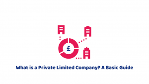 What is a Private Limited Company? A Basic Guide