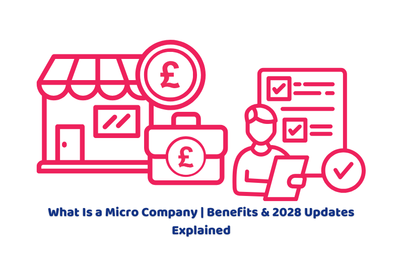 Micro Company